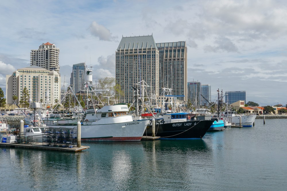 Harbor with fishing boats docked, city skyline and tall buildings in the background.