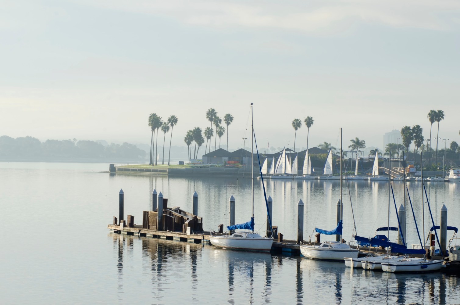 The sunrise over Sail bay in Mission Bay over the Pacific beach in San Diego, California in the United States of America.