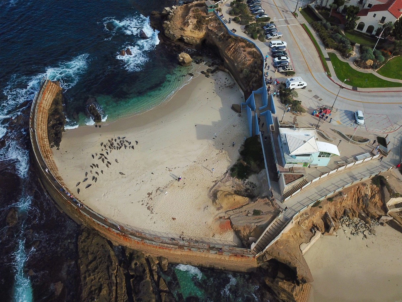 Aerial view of a curved walkway and beach with seals and parked cars nearby.