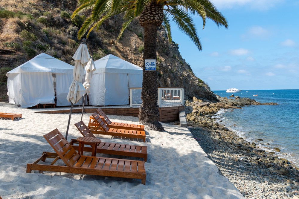Catalina Island Beach with lounge chairs, palm tree, cabanas, and rocky shoreline.