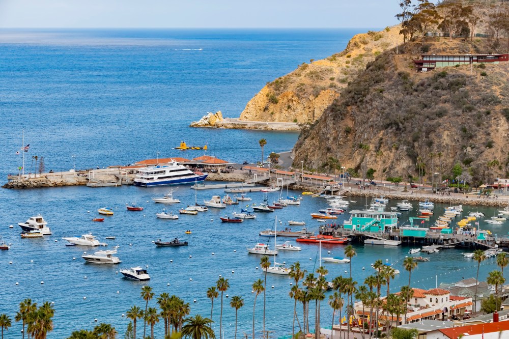 View of Catalina Island harbor with boats and hillside in background.