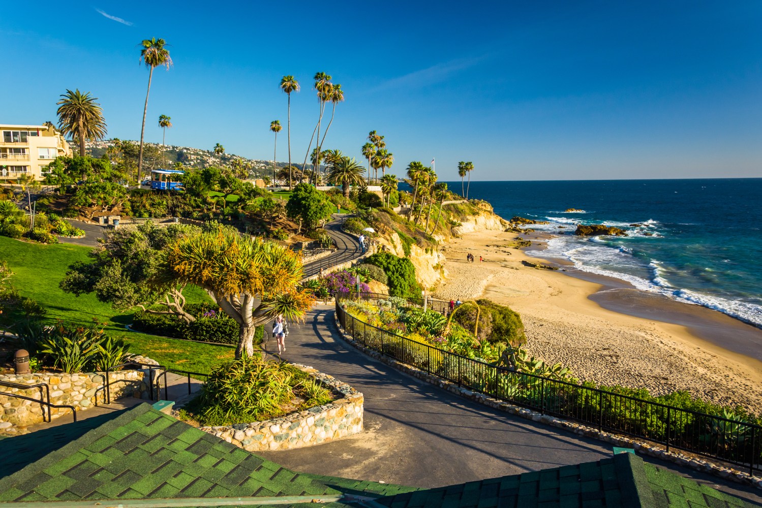 Coastal park with palm trees, a winding path, and sandy beach under clear blue sky.