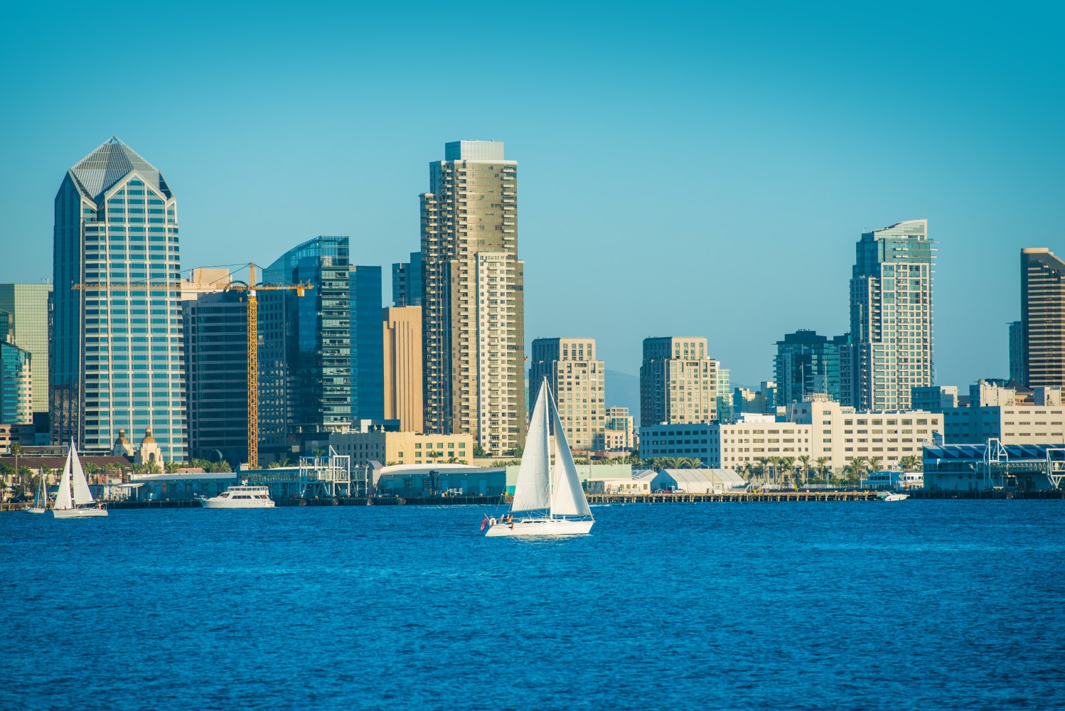 Sailboats on water with city skyline in background under clear blue sky.