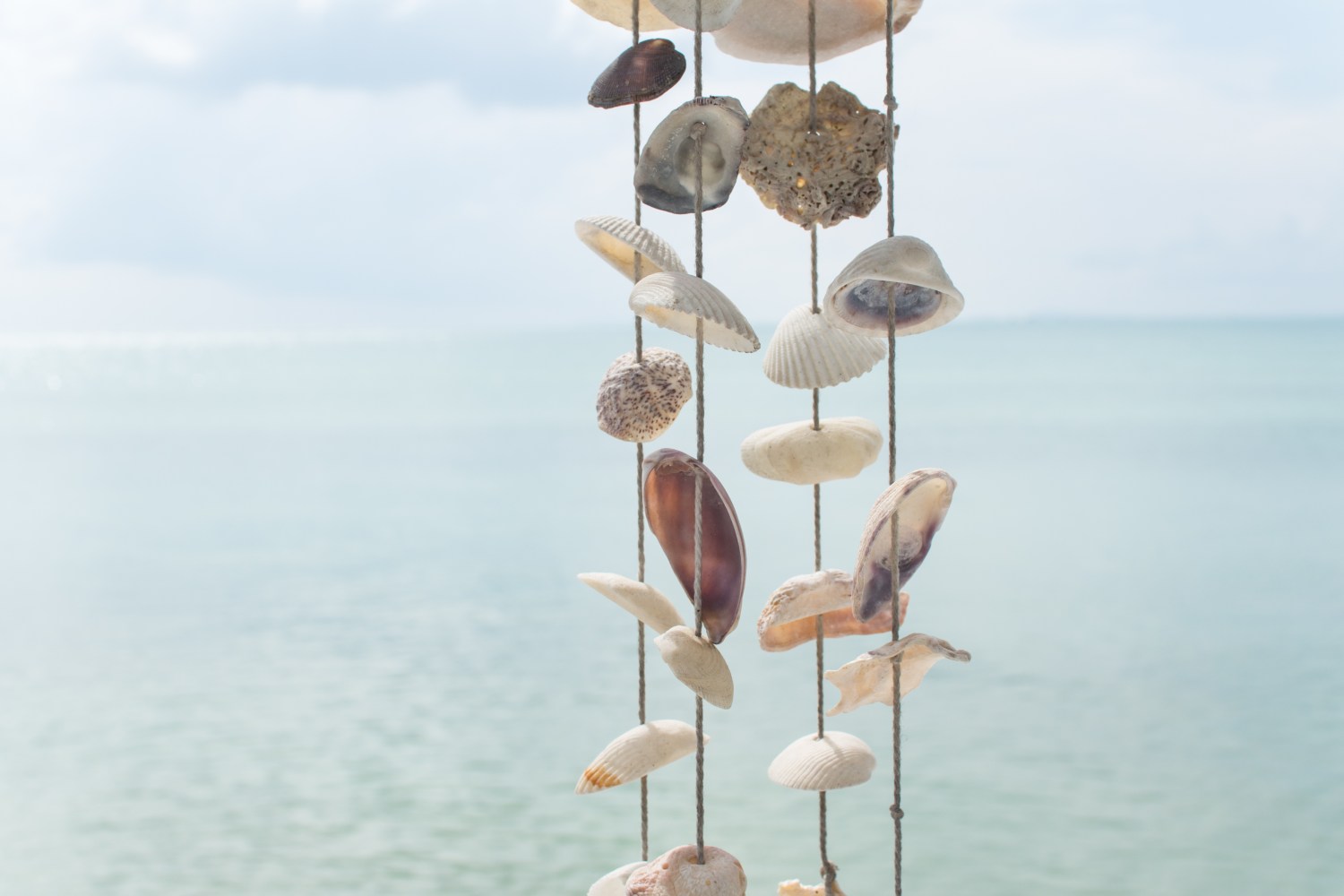 Shells hanging on strings with the sea in the background.