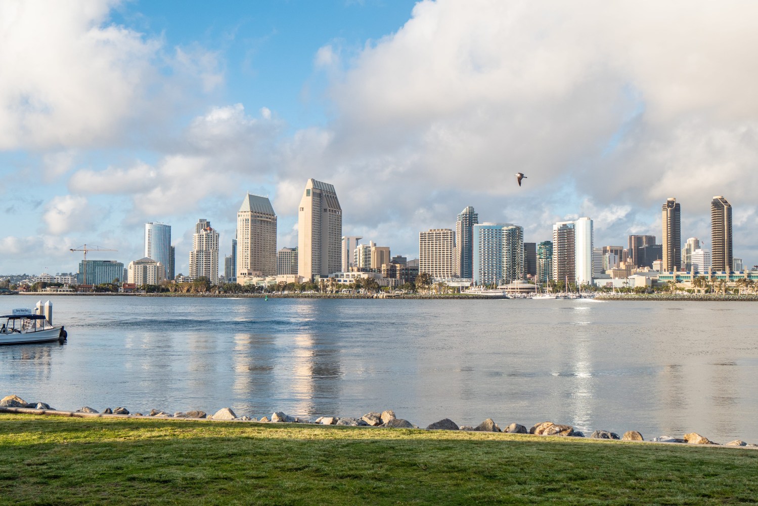 San Diego skyline with cloudy sky over calm water and grassy foreground.